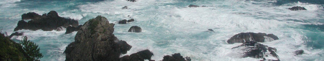 嫁に引きづられて南紀白浜へ
